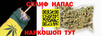 прущие крисы Бердск