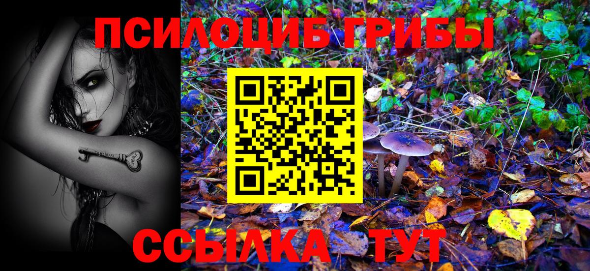 как найти наркотики  Вход с VPN  Зеленокумск  Галлюциногенные грибы мицелий 